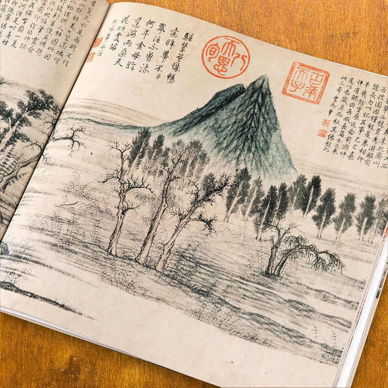 Qi Baishi Libro di pittura a m - Chinese Calligraphy Practice Book recensione e prezzo