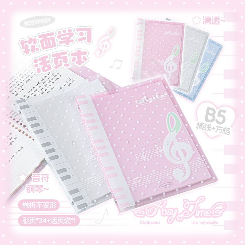 Quaderno a fogli mobili Rosypo - Blank Sheet Music Notebook recensione e prezzo